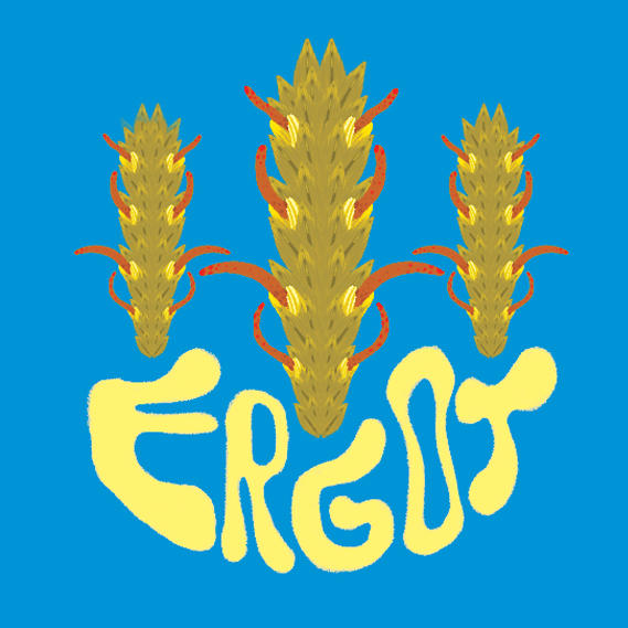 Ergot