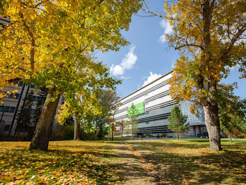 fall on main campus