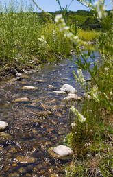 How UCalgary experts help keep Canada's water safe and sustainable