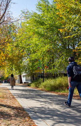 UCalgary campus