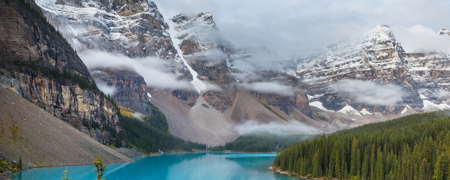 Evolving and flourishing mountain image