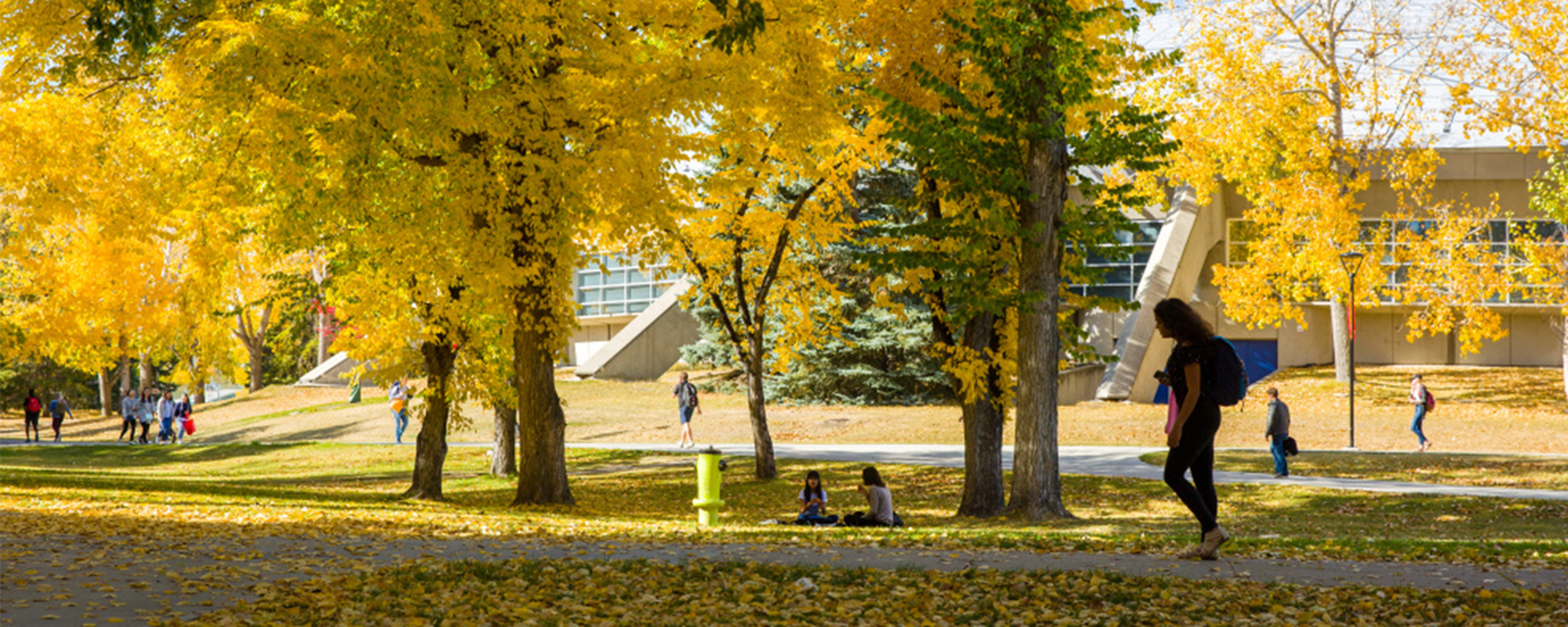A fall image of our university of Calgary campus promoting UCalgary Master of  Social Work in Clinical Social Work Practice