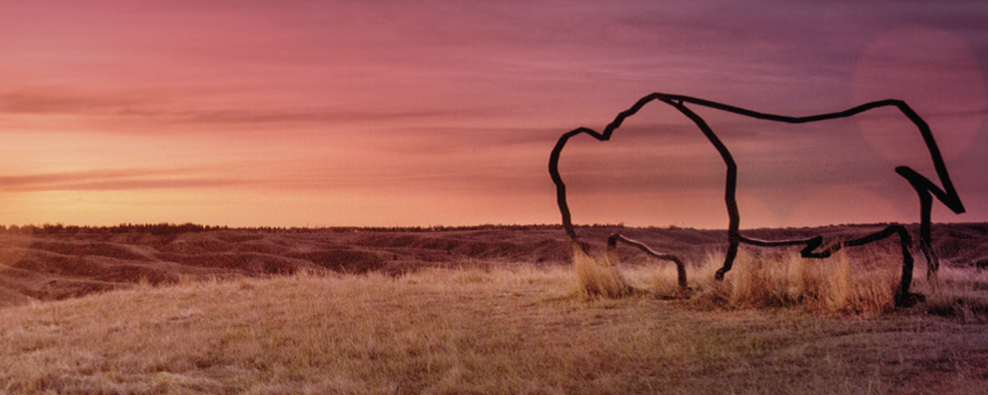 Buffalo sculpture in southern Alberta