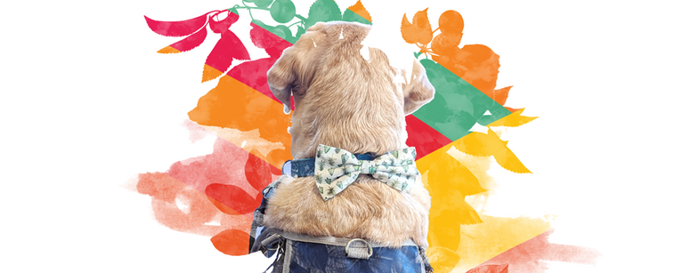Therapy dog sitting at Luna Child Advocacy Centre