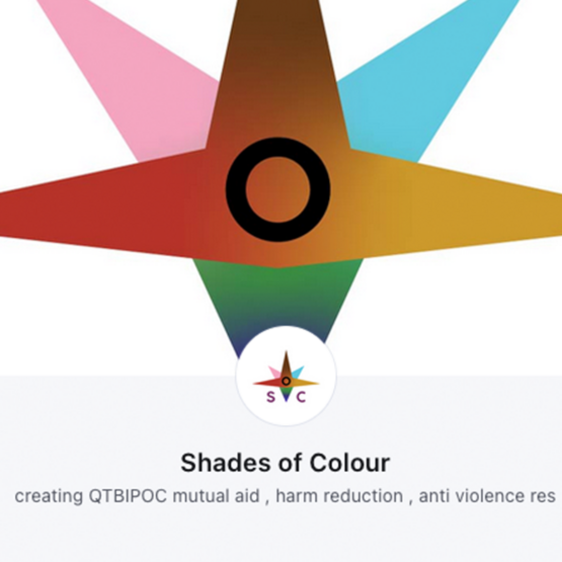 Shades of Colour Logo