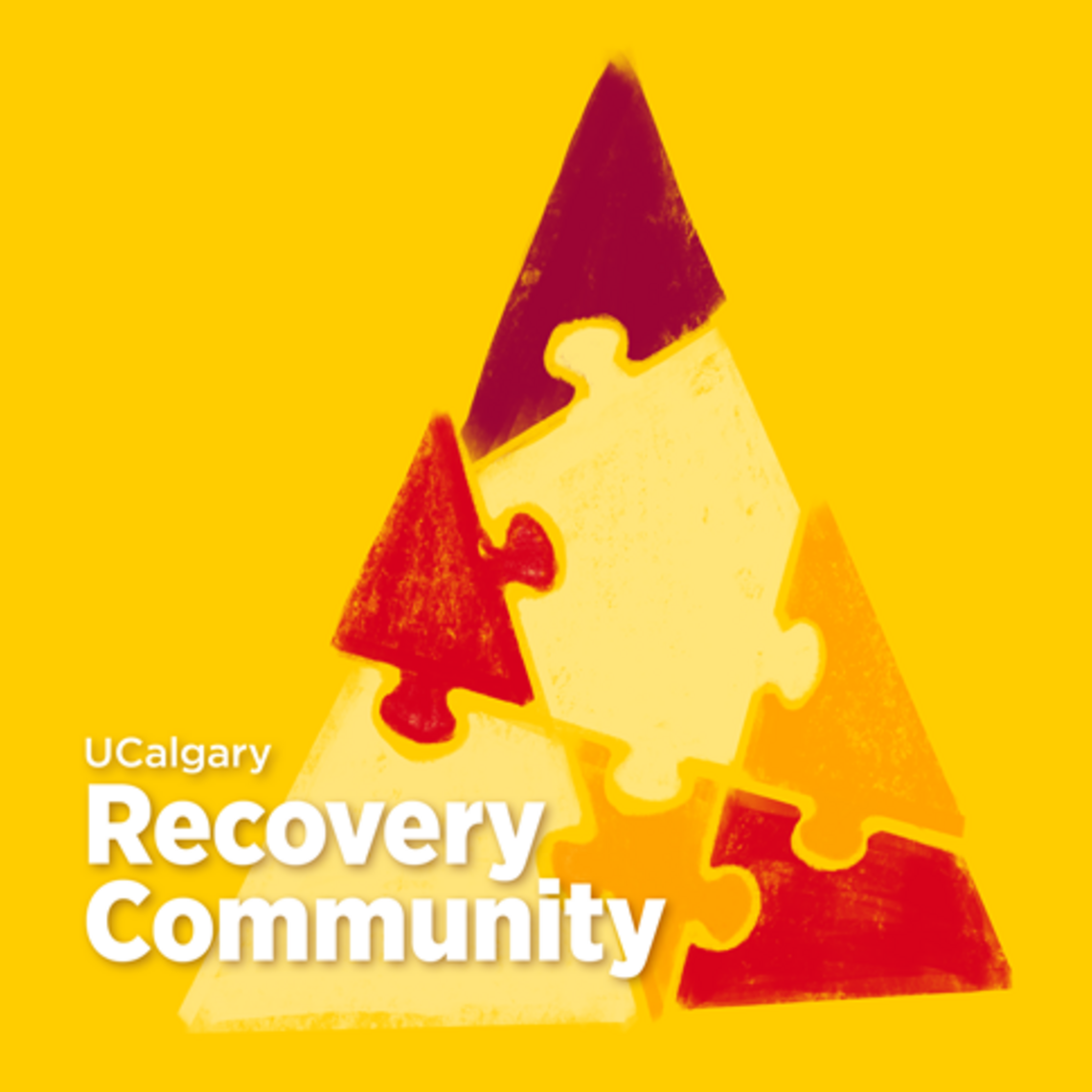 Recovery on Campus Project