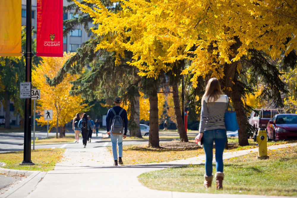 Students walking on the University of Calgary campus