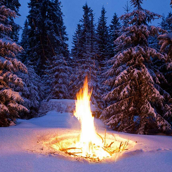 a campfire burns in the middle of a snowcovered forest 