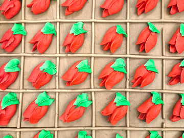 Graduation Celebration - Edmonton