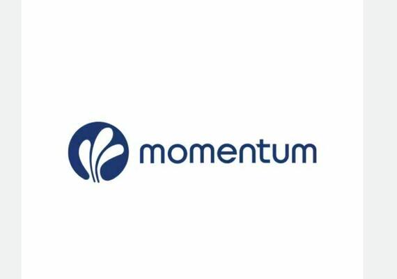 Momentum